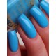 Bug a Blue