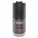 Color Club Magnetic Force